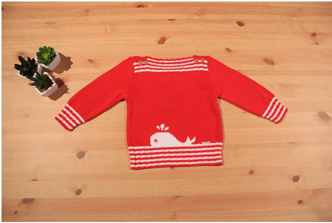 Baby boy's red whale jumper