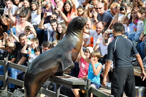 Una de las actuaciones con animales de Cabárceno.