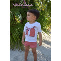 BOYS T-SHIRT AND SWIM SHORTS HOUSE LOLITOS